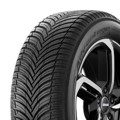 BF Goodrich Advantage All Season 205/55R16 91H M+S 3PMSF