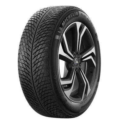 Michelin Pilot Alpin 5 SUV 285/45R21 113V XL M+S 3PMSF