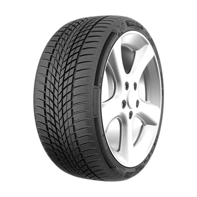 Milestone CarMile Winter 225/45R19 96V RF M+S 3PMSF