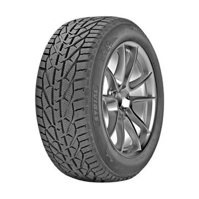 Strial Winter 195/65R15 95T XL M+S 3PMSF