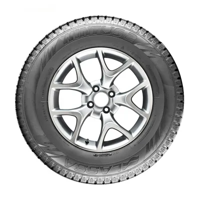 Lassa Wintus 2 195/75R16C 107/105R M+S 3PMSF 8PR