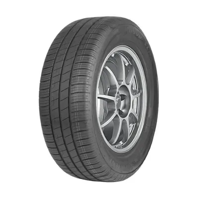 Goodyear Efficientgrip Performance 205/55R16 91V