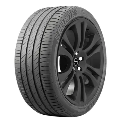 Delinte DS2 205/45R17 88W XL M+S