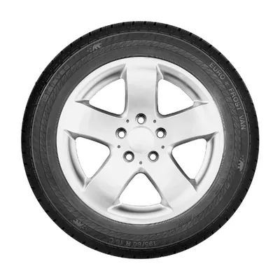 Gislaved Euro Frost Van 225/65R16C 112/110R M+S 3PMSF 8PR